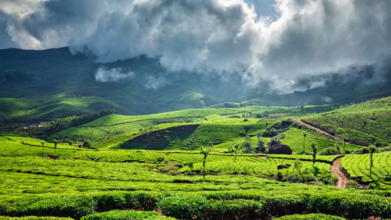 Road Trips From Chennai to Munnar - 15 Best Places to Visit in Munnar