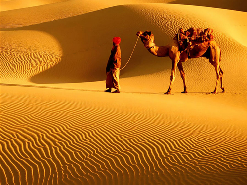 places to visit in rajasthan near to delhi