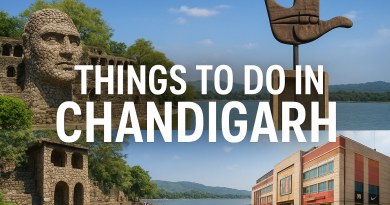 things to do in chandigarh